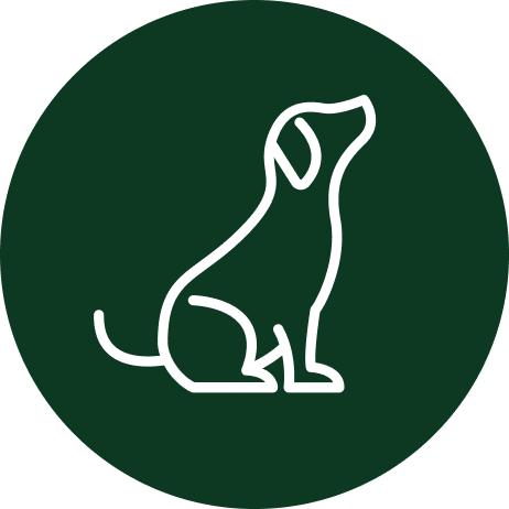 Hundkläder