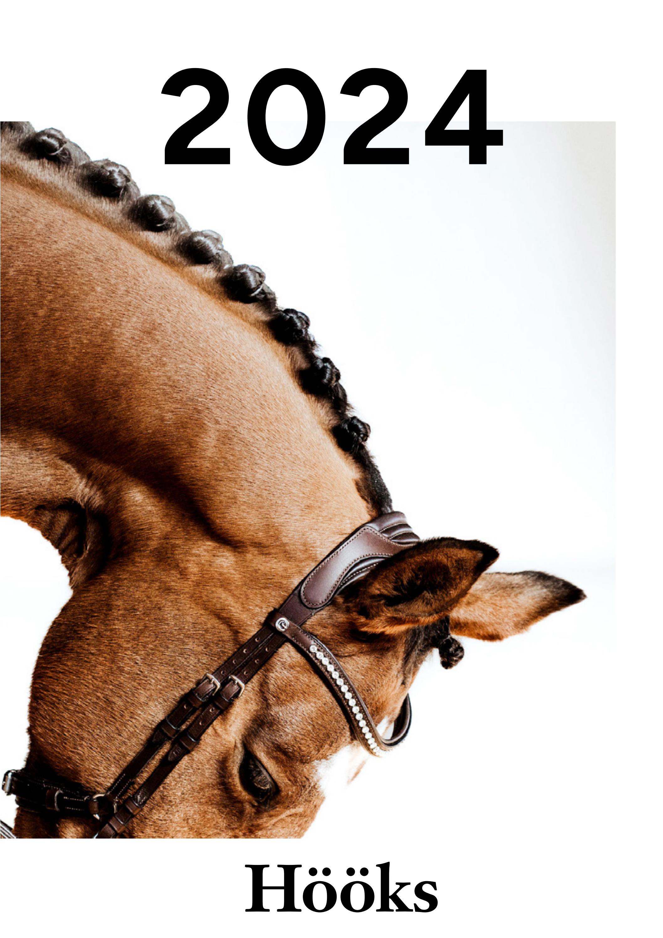 Omslag till hållbarhetsrapport 2024