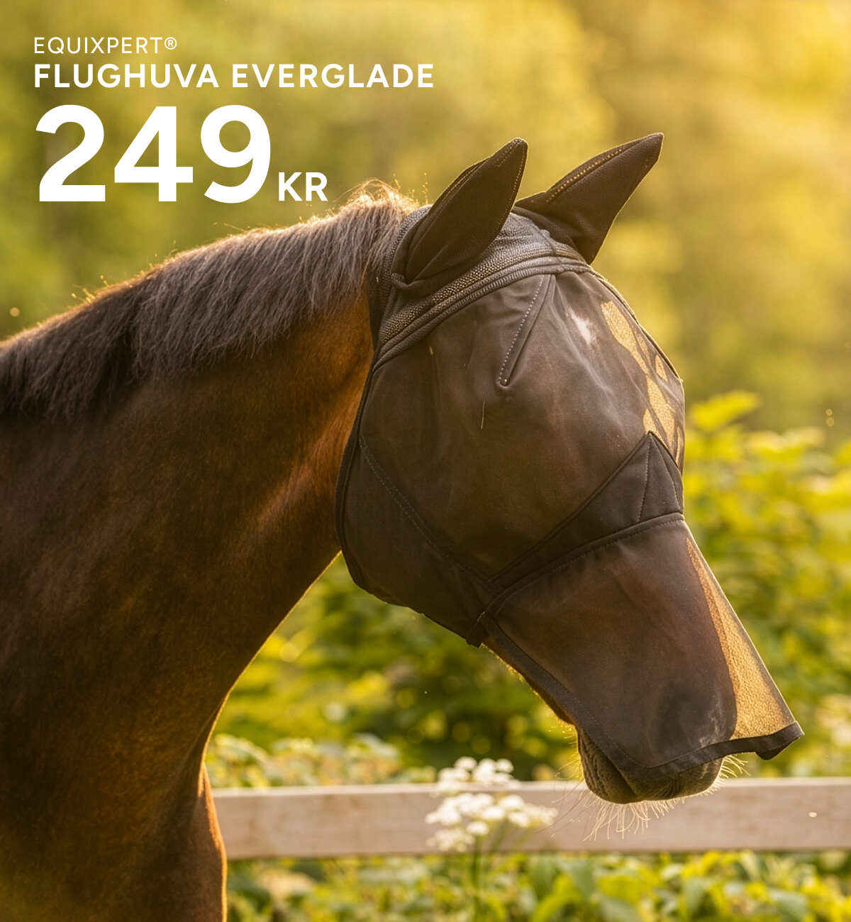 everglade