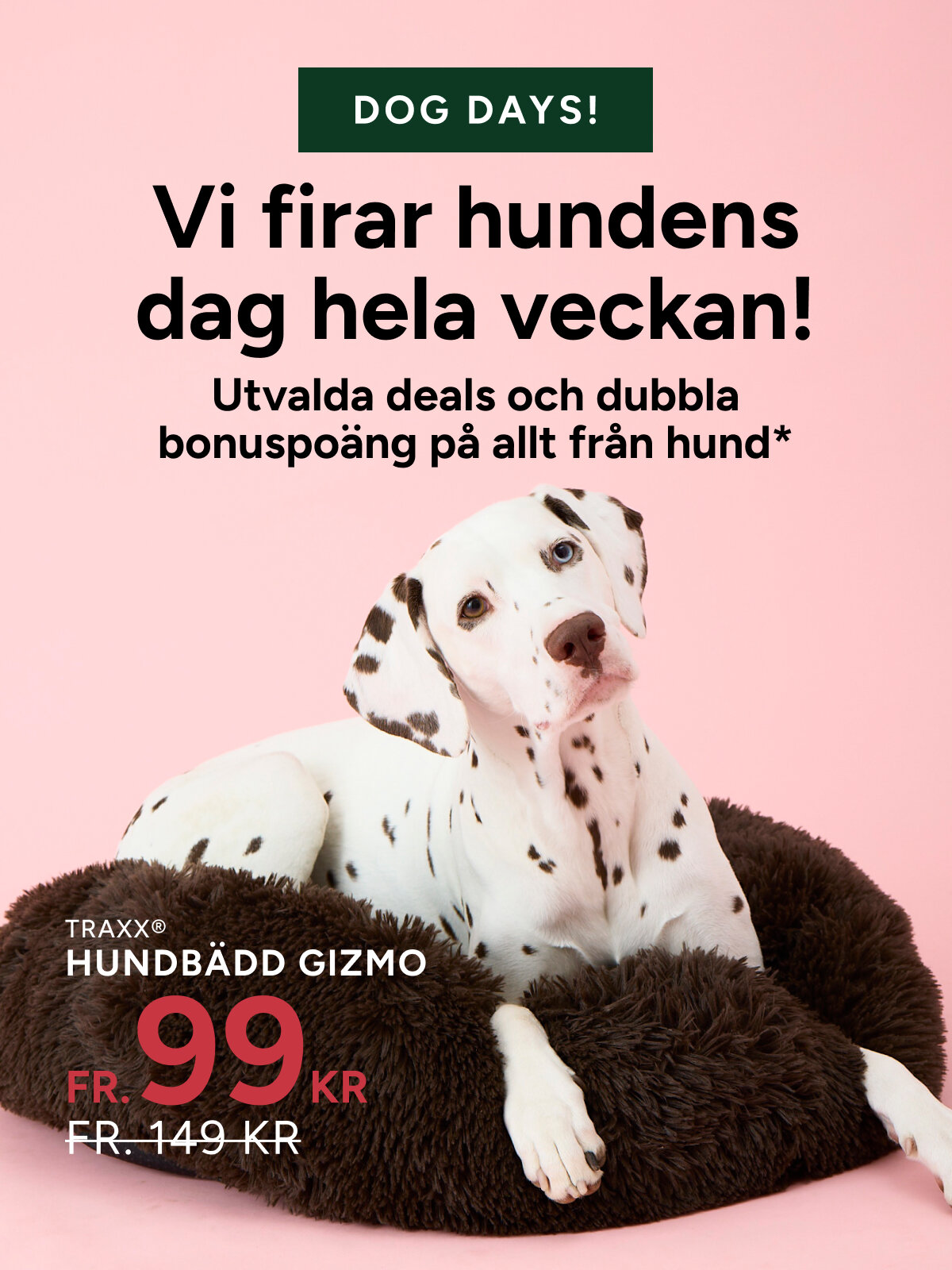 dog deals