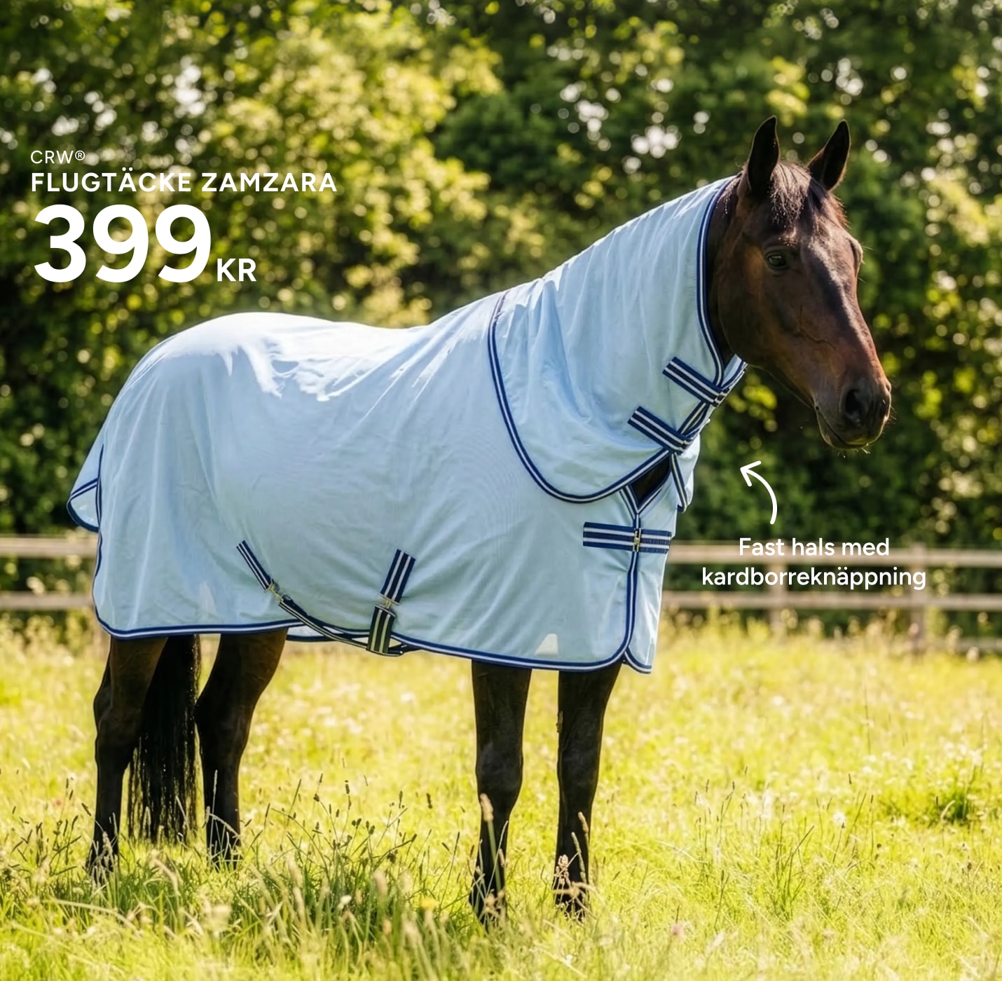 fly sheet horse