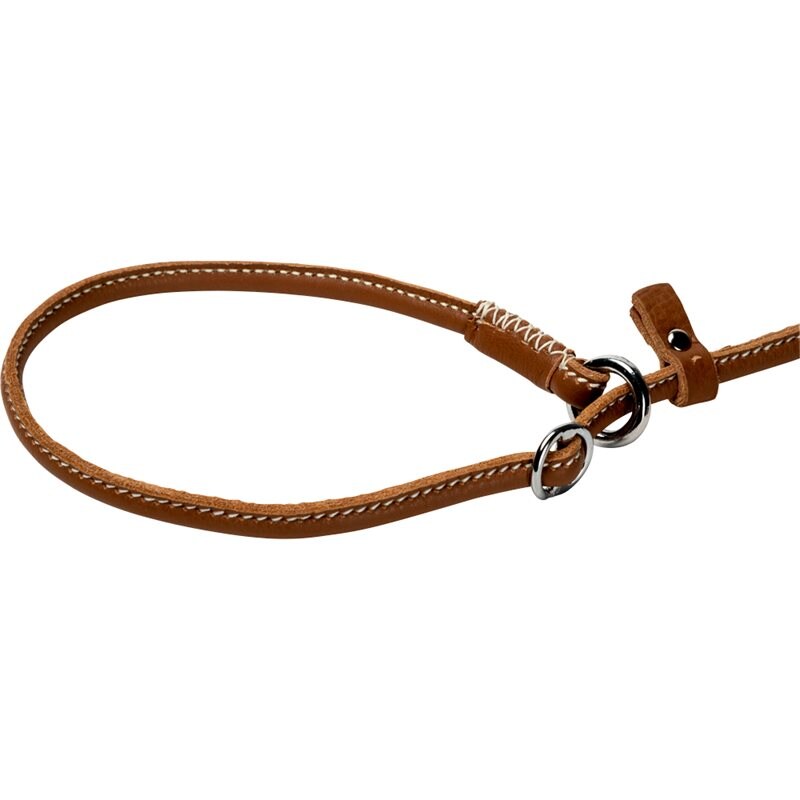 Retrieverkoppel Läder Galaksi traxx® Cognac