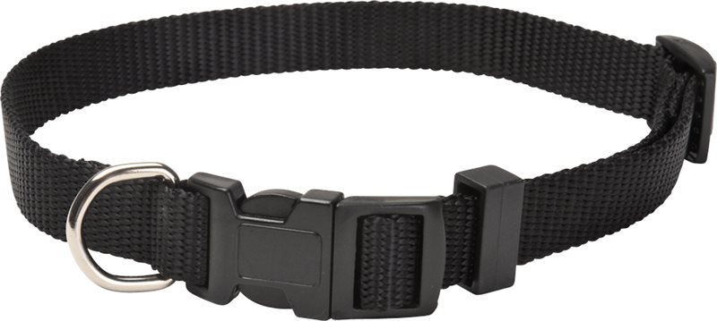 Product Image for Halsband  Colour traxx®