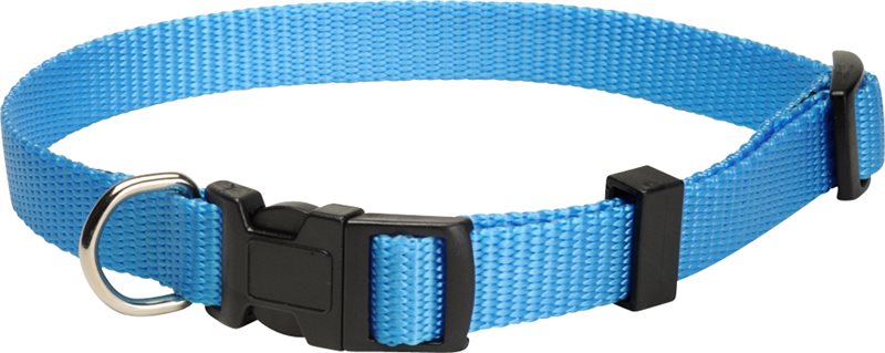 Product Image for Halsband  Colour traxx®