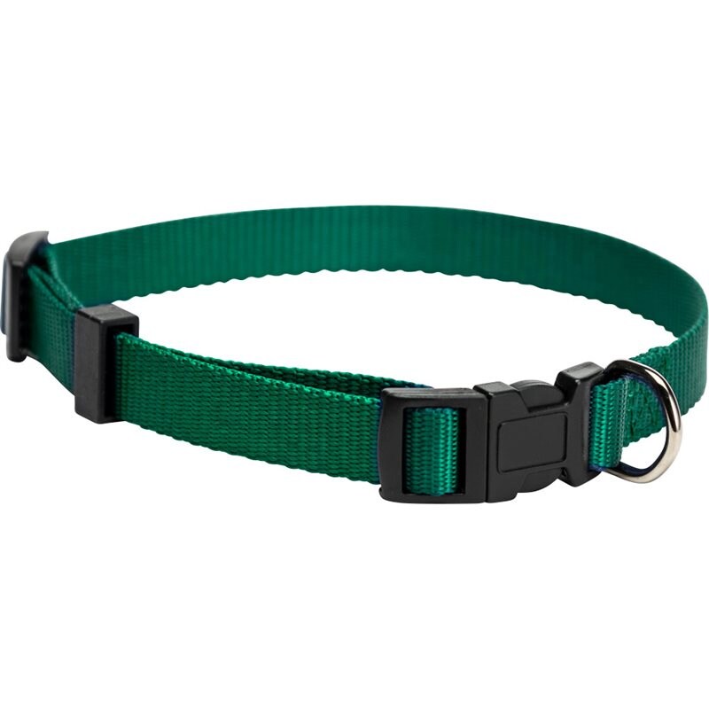 Product Image for Halsband  Colour traxx®
