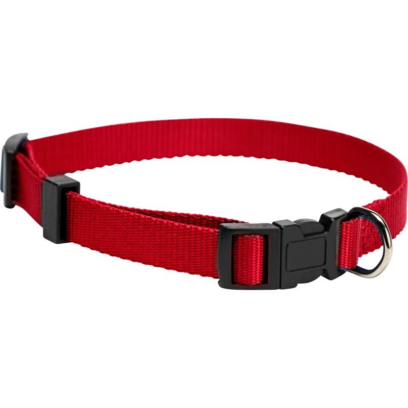 Product Image for Halsband  Colour traxx®
