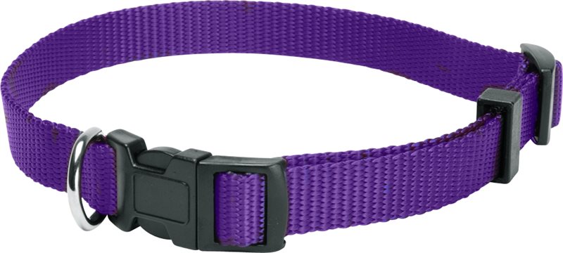 Product Image for Halsband  Colour traxx®