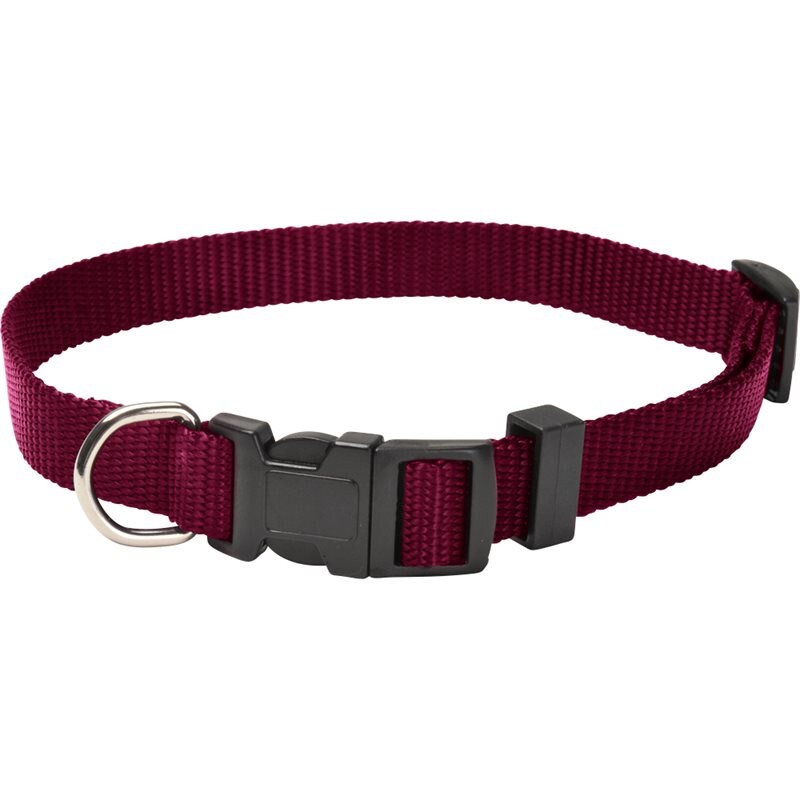 Product Image for Halsband  Colour traxx®