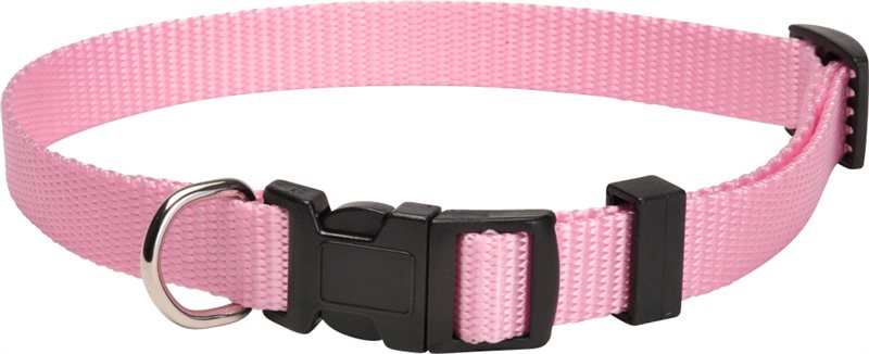 Product Image for Halsband  Colour traxx®
