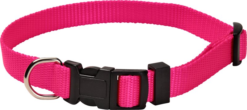 Product Image for Halsband  Colour traxx®
