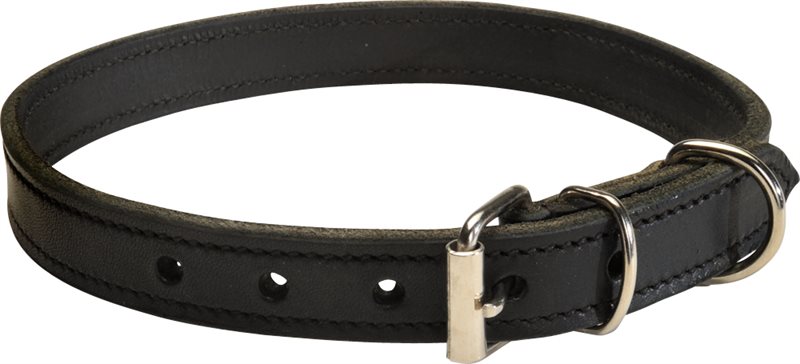 Product Image for Halsband Läder Basic traxx®