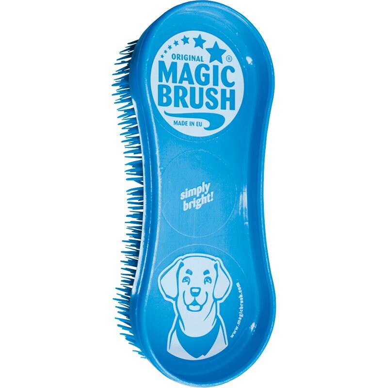Piggborste Hund Magic Brush Blå