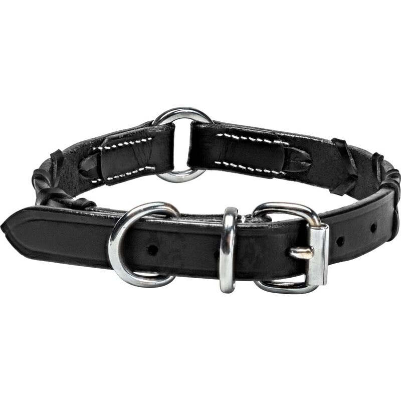 Product Image for Halsband Läder Latigo traxx®