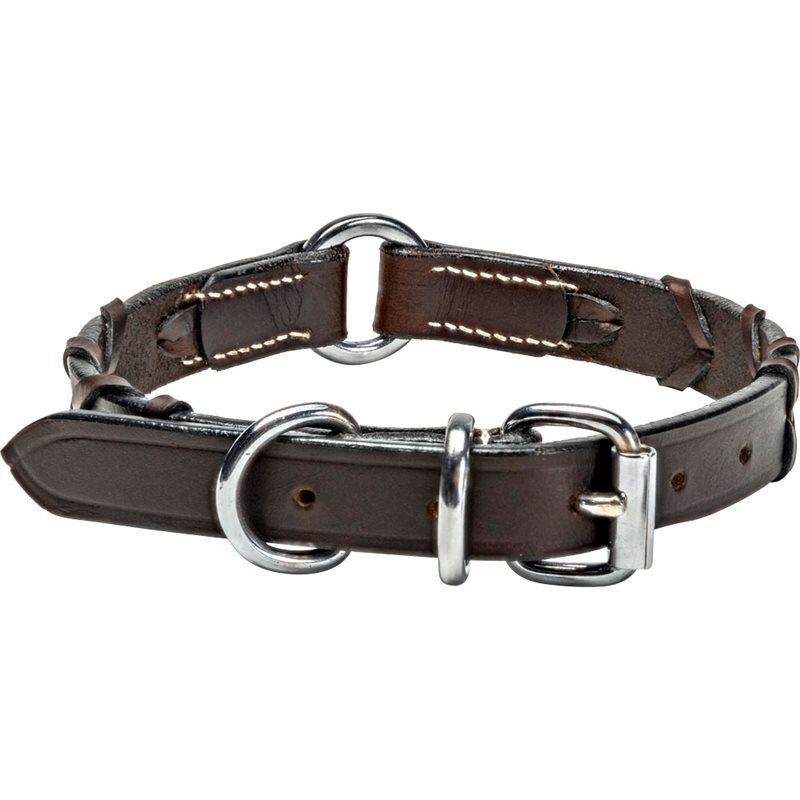 Product Image for Halsband Läder Latigo traxx®