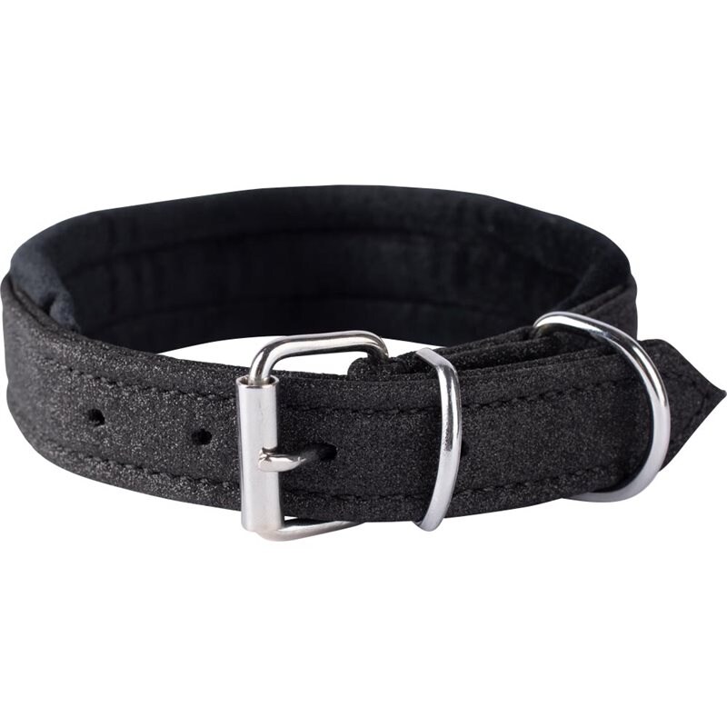 Halsband Dazzle traxx® Svart