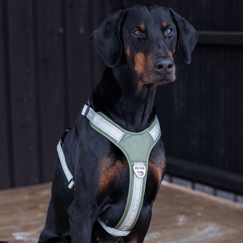 Hundsele Troja traxx® Olivgrön