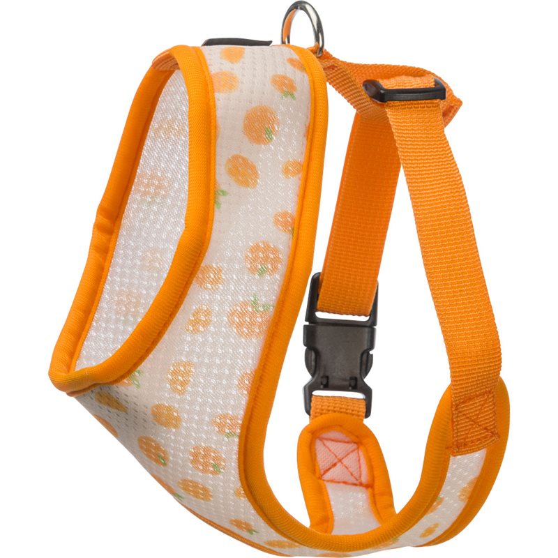 Product Image for Hundsele  Itacha traxx®