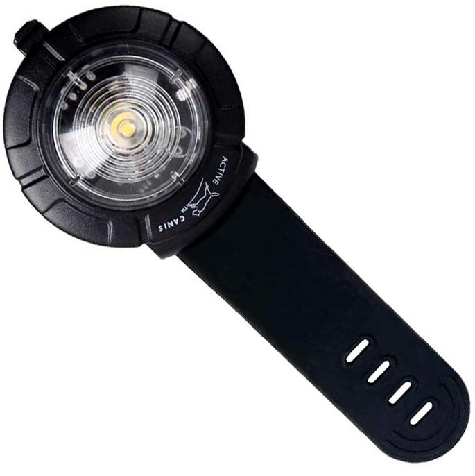 Safety light Active Canis Vit