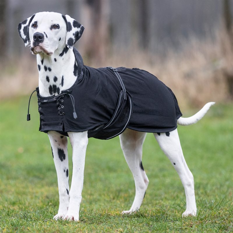 Nättäcke Hund Back on Track® Svart
