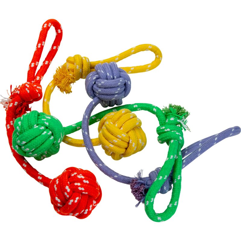 Product Image for Hundleksak  Rover traxx®