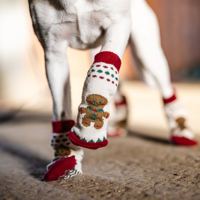 Product Image for Strumpor Hund Christmas traxx®