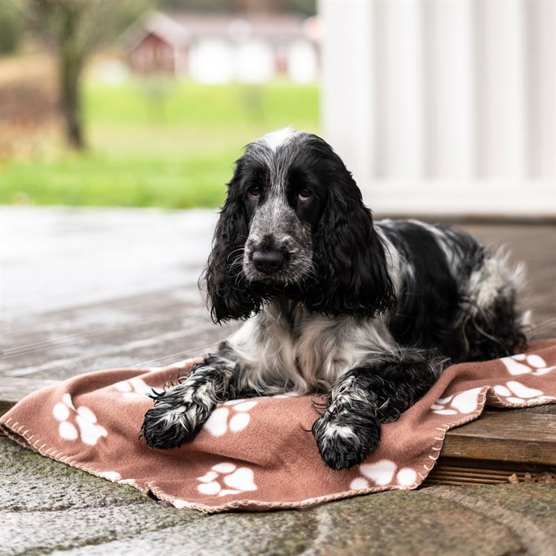 Product Image for Hundfilt Mirello traxx®
