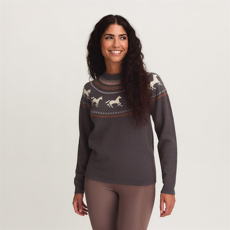 Product Image for Stickad tröja Francis CRW®