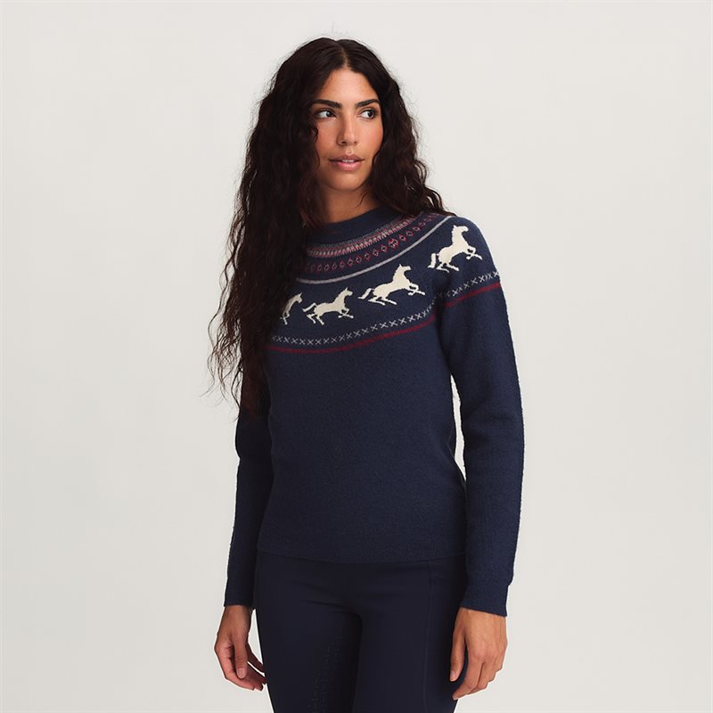 Product Image for Stickad tröja Francis CRW®