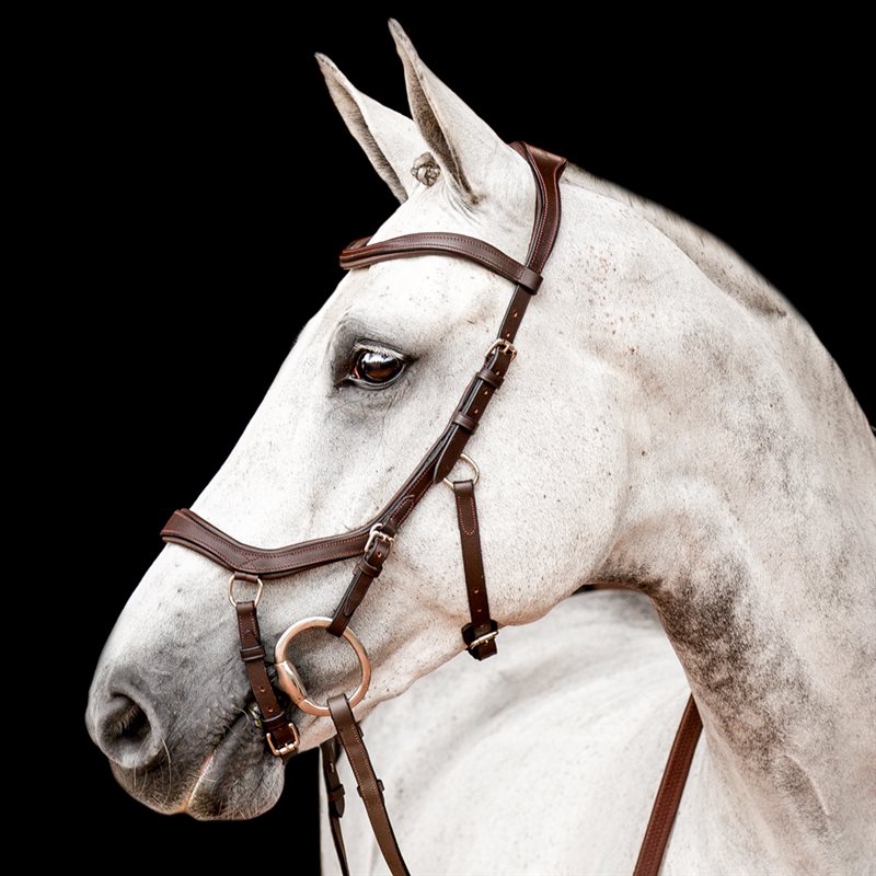 Träns Micklem Competition Horseware® Brun