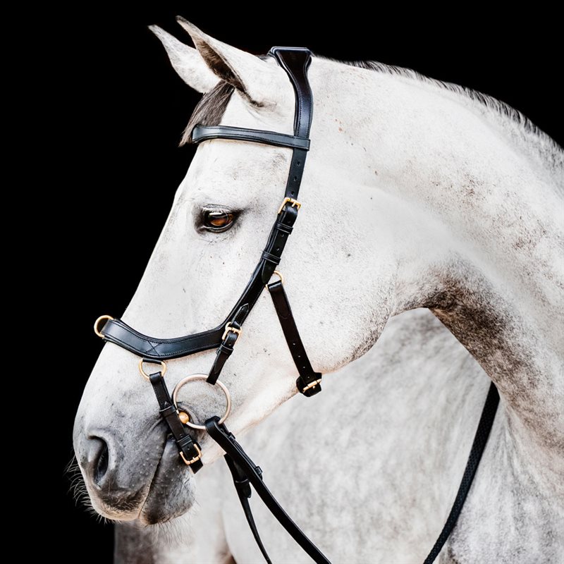 Träns Micklem Multibridle Horseware® Svart