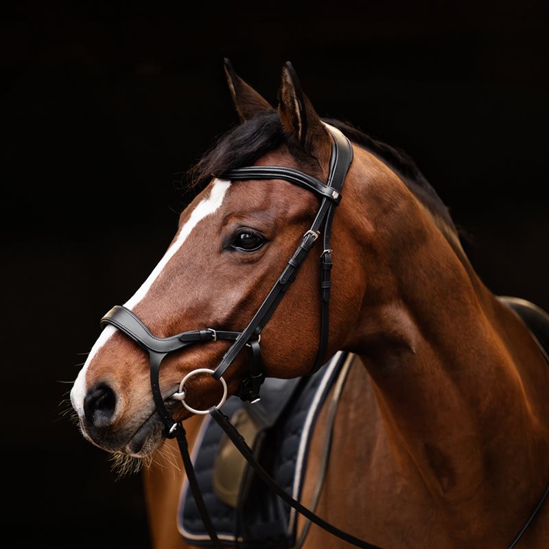 Träns Derby Fairfield® Svart