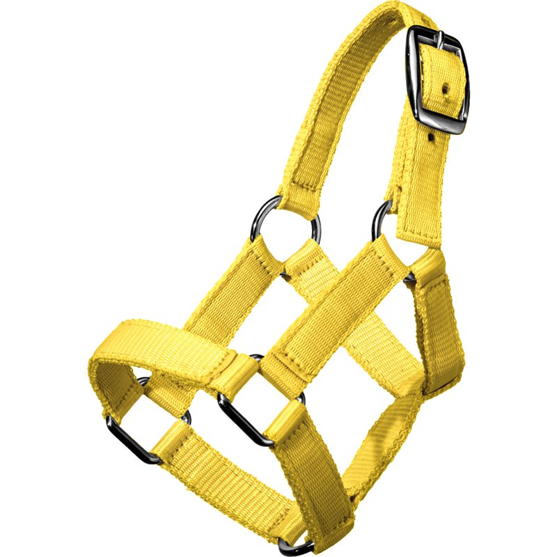 Minifölgrimma Fairfield® Gul
