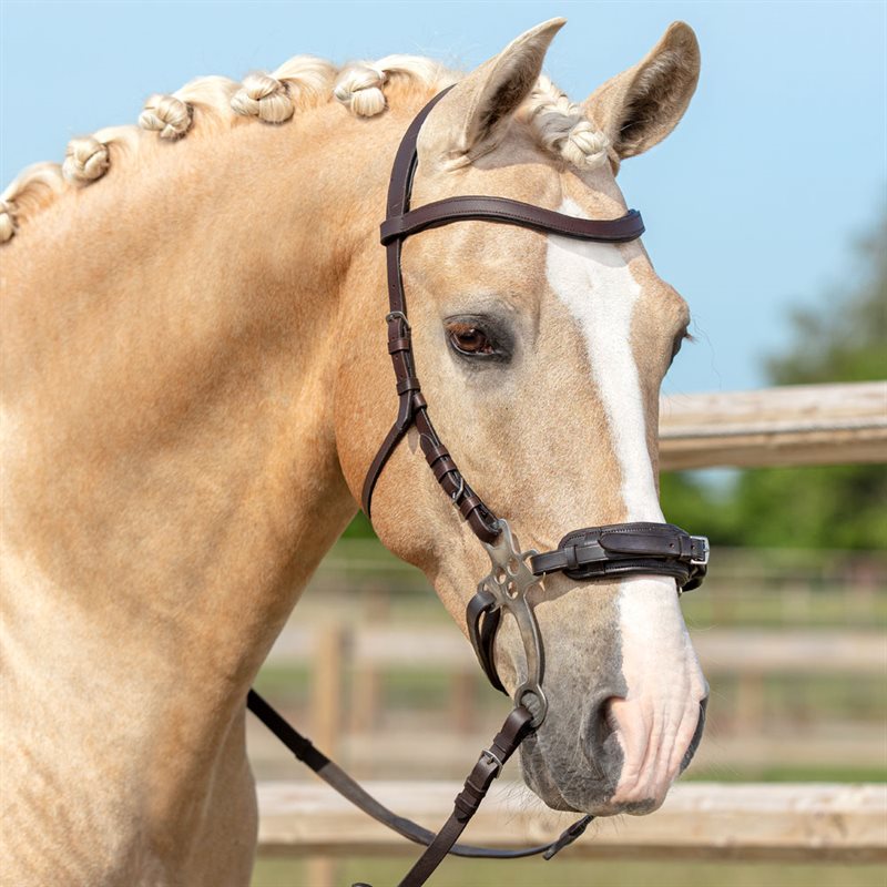 Huvudlag Hackamore Fairfield® Mörkbrun