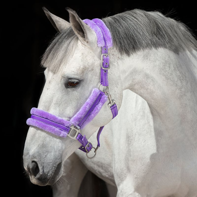 Reflexgrimma Hi-Viz Fur Fairfield® Lila