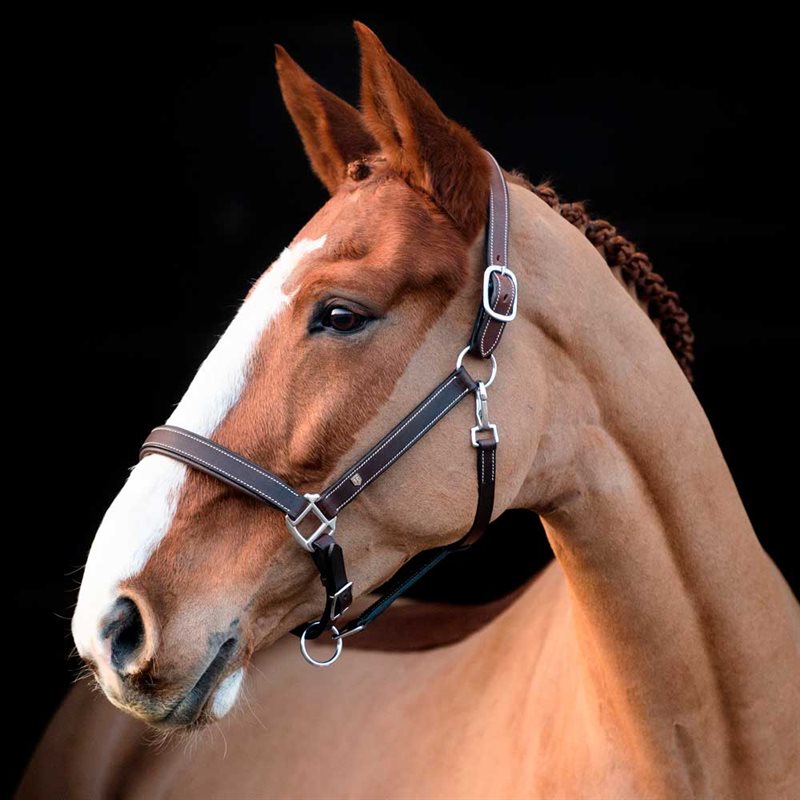 Lädergrimma Sherston Fairfield® Kastanj