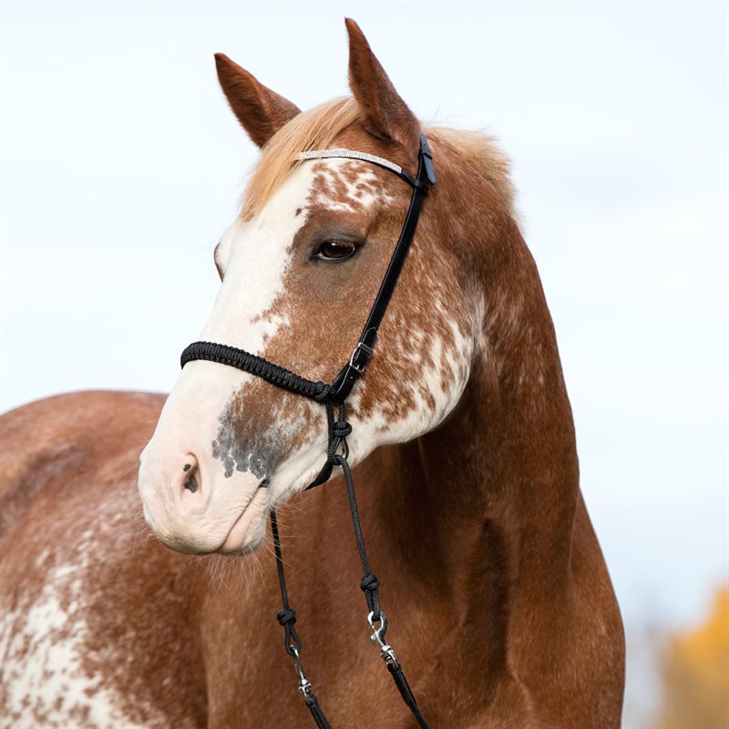 Product Image for Hackamore  Rep Fairfield®