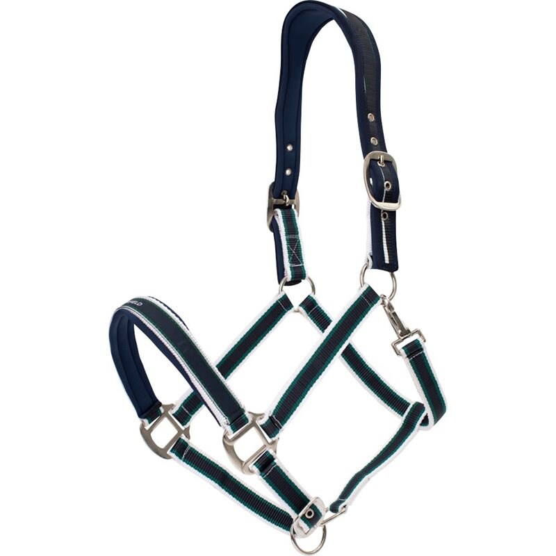 Product Image for Grimma  Acme Fairfield®