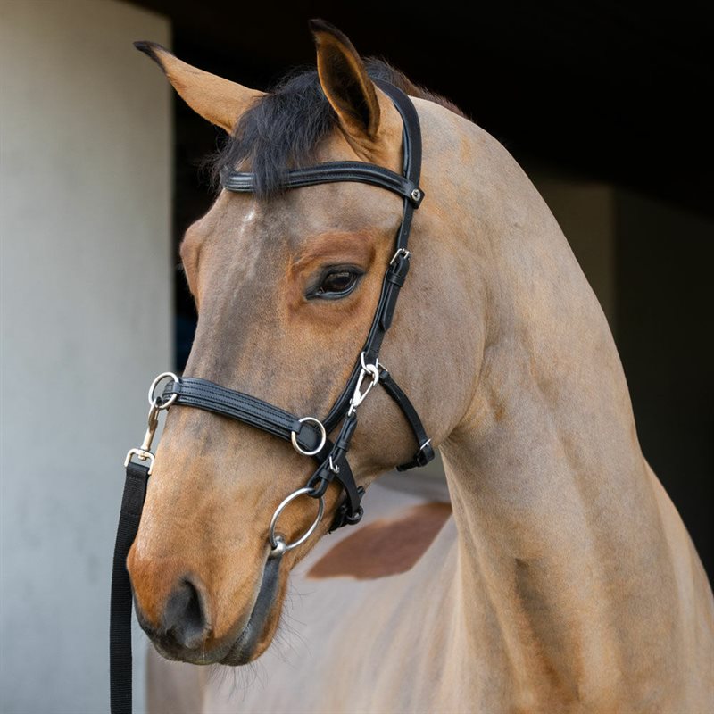 Kapson Cavat Fairfield® Svart