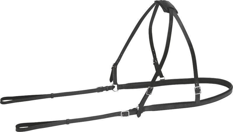 Product Image for Baksele   Fairfield®