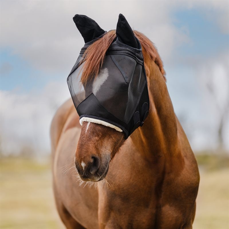Flughuva Tennesse EquiXpert® Svart