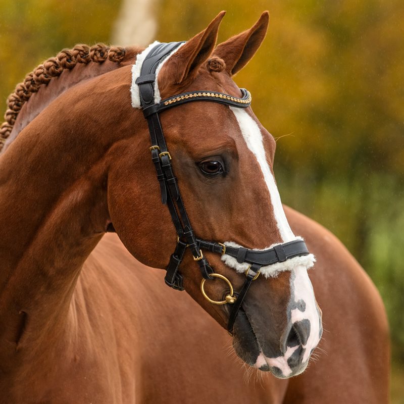 Ludd till träns Chester Fairfield® Creme