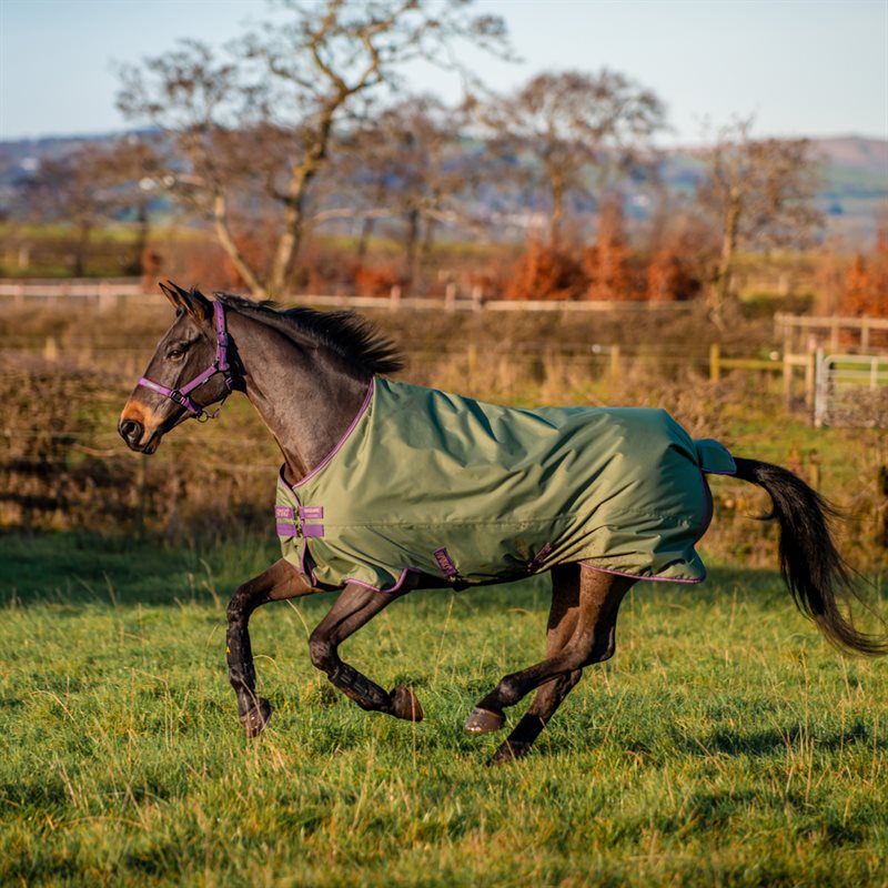 Utetäcke Amigo Hero Ripstop Plus 200 Horseware® Grön
