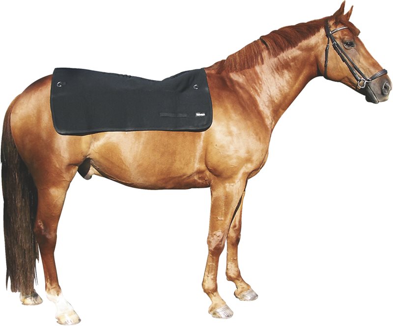 Product Image for Ryggvärmare  1 x 1,2 m Back on Track®