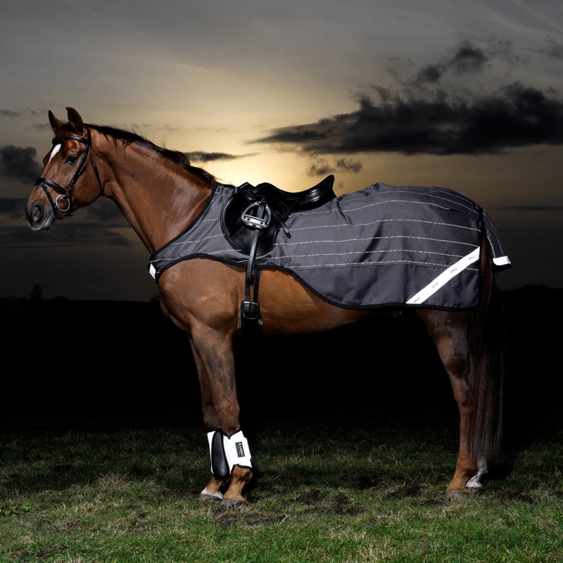 Product Image for Ridtäcke Reflex Amigo Reflectech Competition Sheet Horseware®