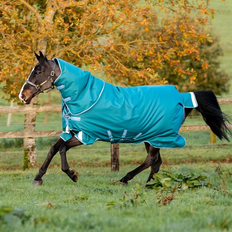 Vintertäcke Amigo® Bravo Plus Heavy 400 Horseware® Grön