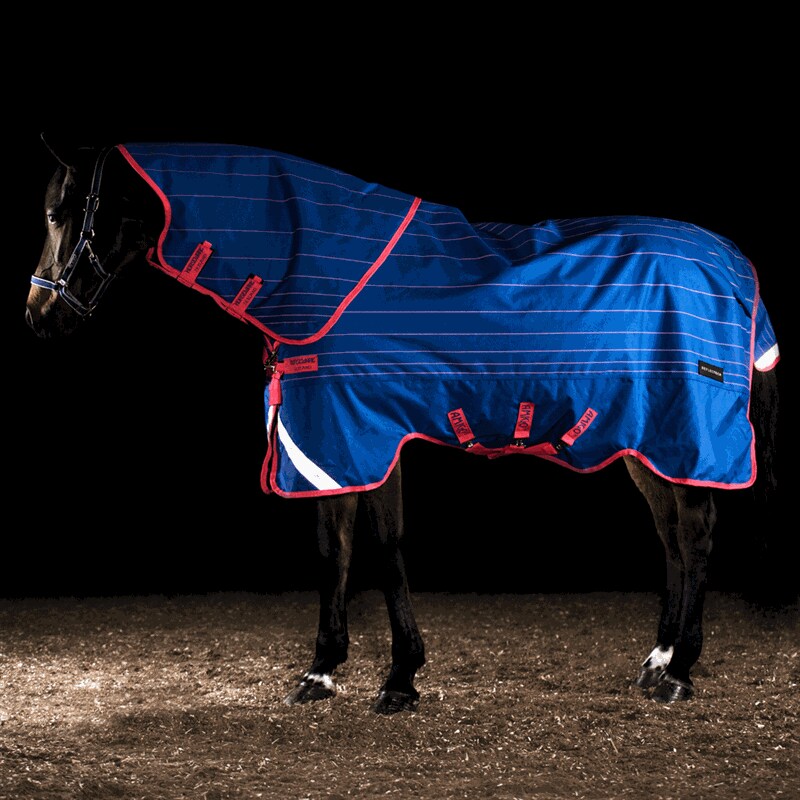 Product Image for Vintertäcke  Amigo Bravo Reflectech Plus 250 Horseware®