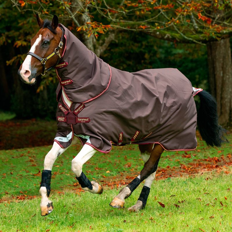 Utetäcke Amigo Bravo 12 Plus 100 Horseware® Brun
