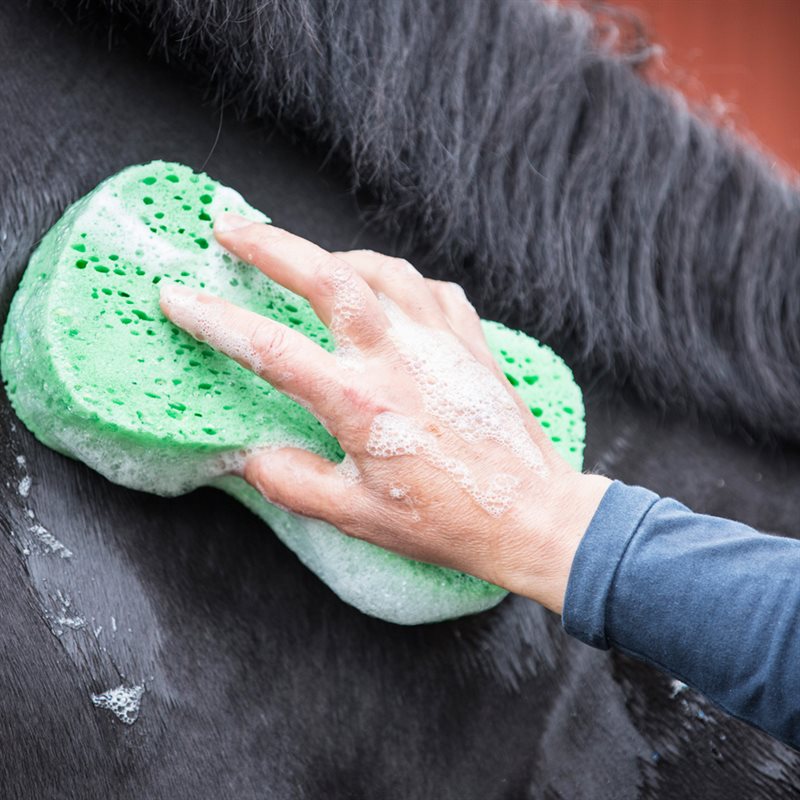 Product Image for Tvättsvamp  Jumbo