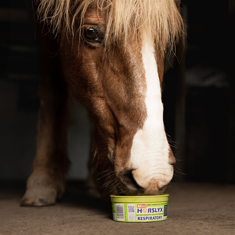 Mini 650g Horselyx Grön