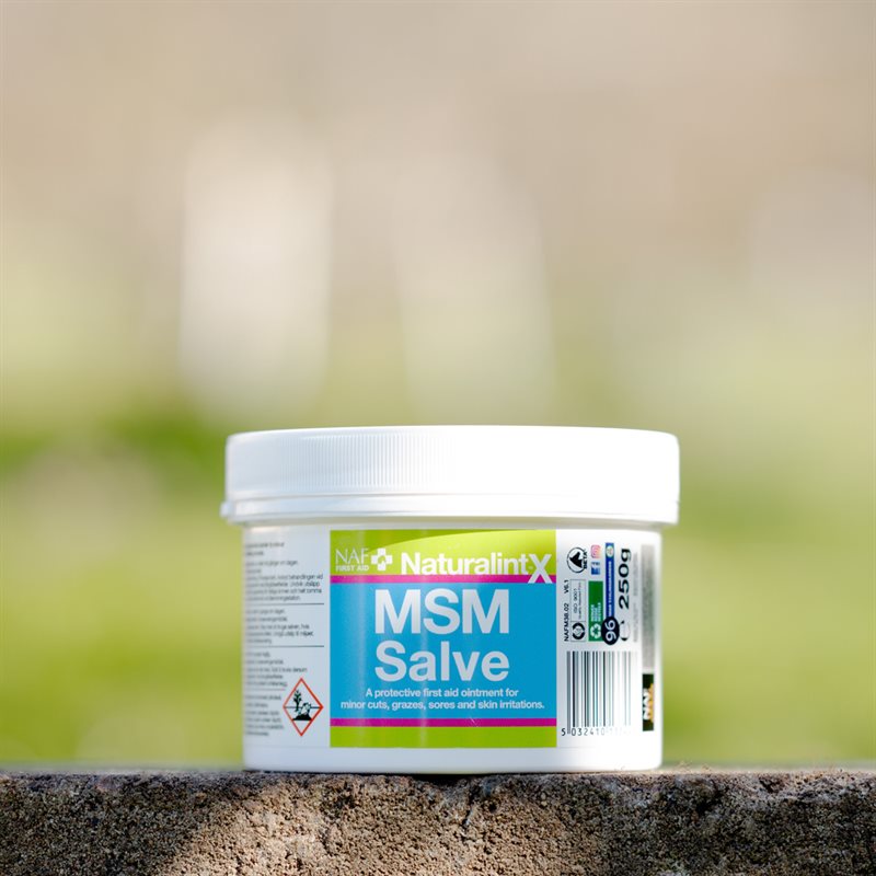 Product Image for Hästsalva  MSM NAF